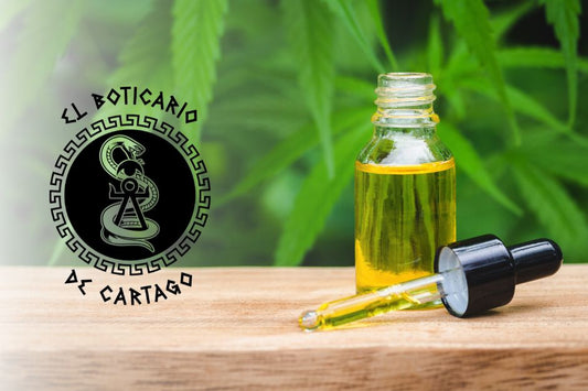 Guía Completa: ¿Qué cantidad de aceite CBD debo usar según mis necesidades?