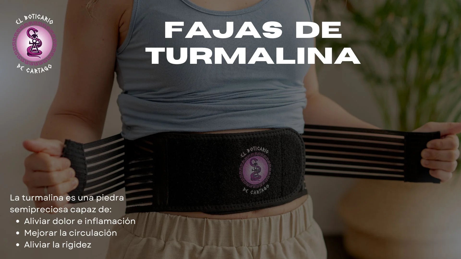 Cargar video: 