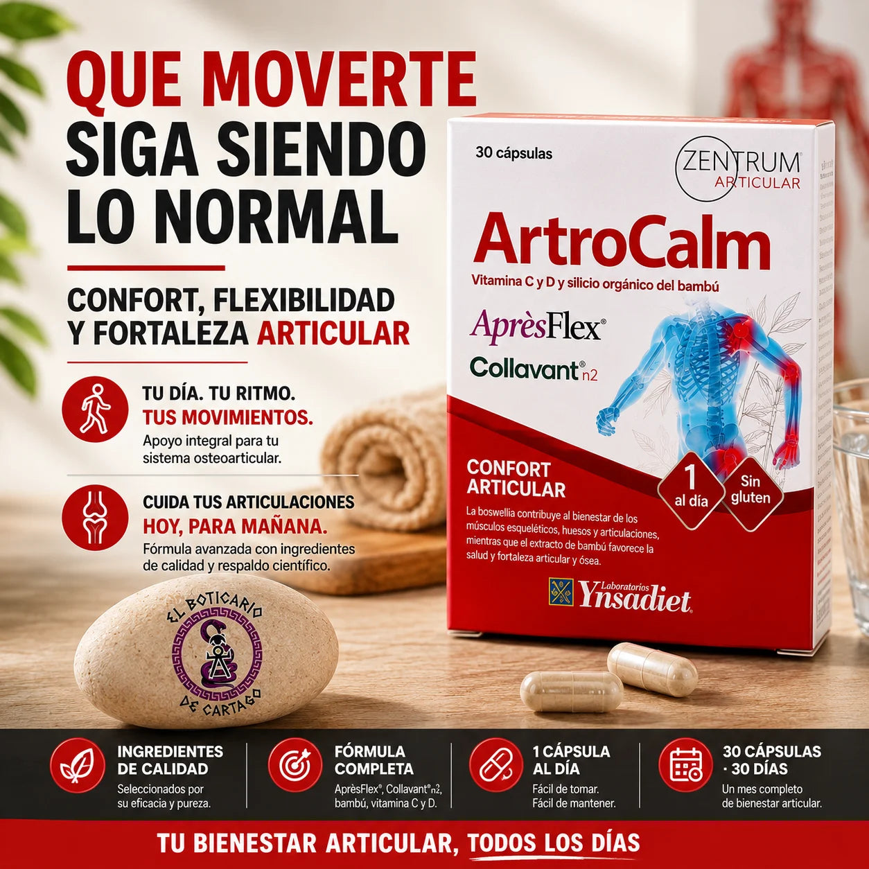 ArtroCalm Zentrum Articular – confort, flexibilidad y fortaleza articular con AprèsFlex, Collavant n2 y vitaminas C y D