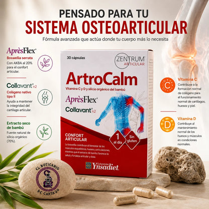 Infografía de ArtroCalm Zentrum Articular con AprèsFlex, Collavant n2, vitamina C y D – pensado para el sistema osteoarticular