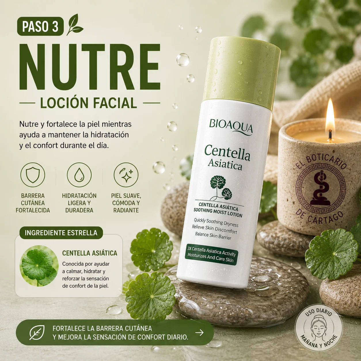 Paso 3 – Loción facial Bioaqua Centella Asiática: nutre y fortalece la barrera cutánea con hidratación ligera y duradera para piel suave y radiante