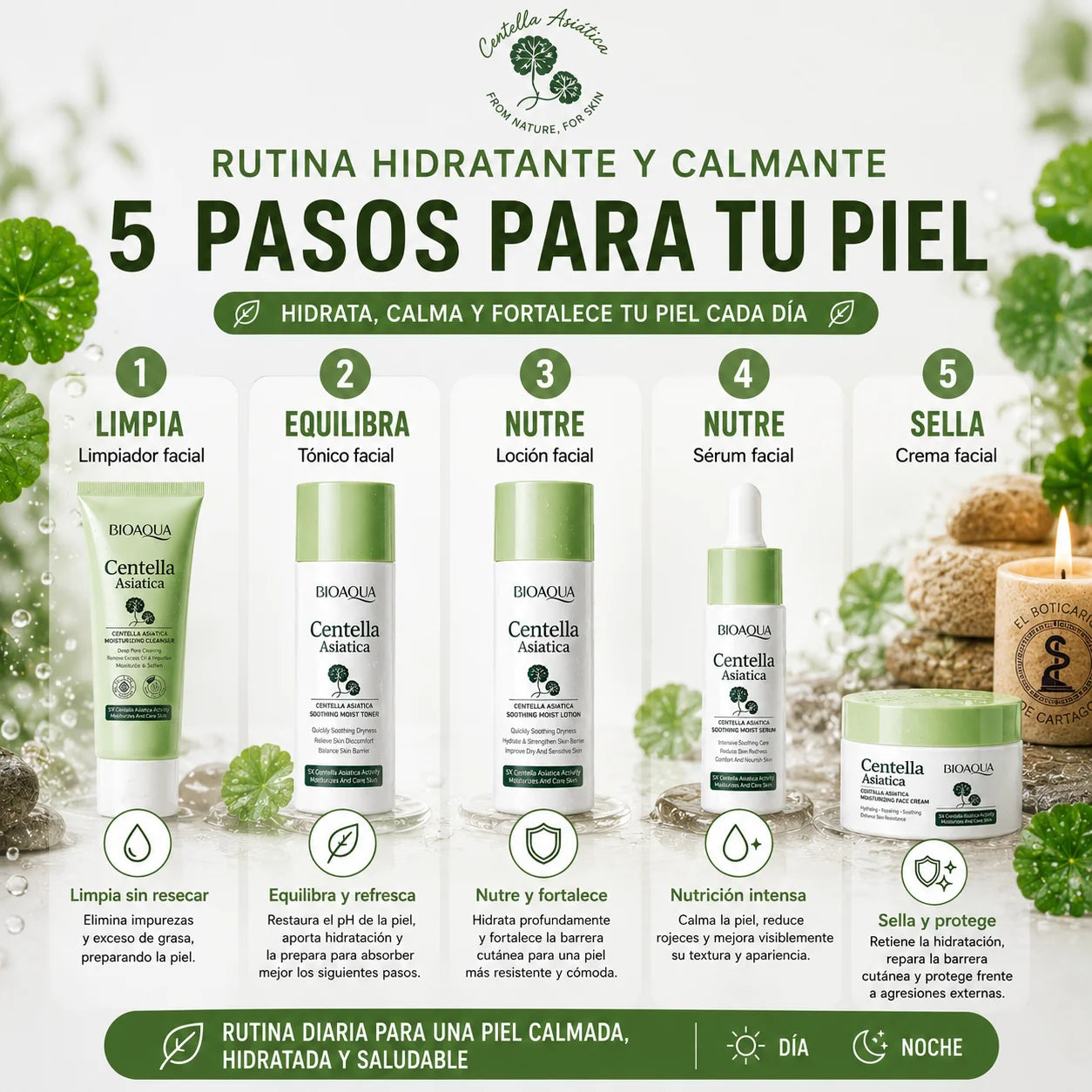 Extracción de Centella Asiática – ingrediente natural que calma, hidrata y repara la piel sensible, fortalece la barrera cutánea y mejora la textura