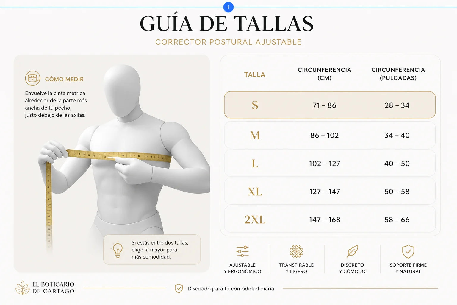 Guía de tallas corrector postural El Boticario de Cartago – tallas S a 2XL según circunferencia de pecho en cm y pulgadas, ajustable y ergonómico