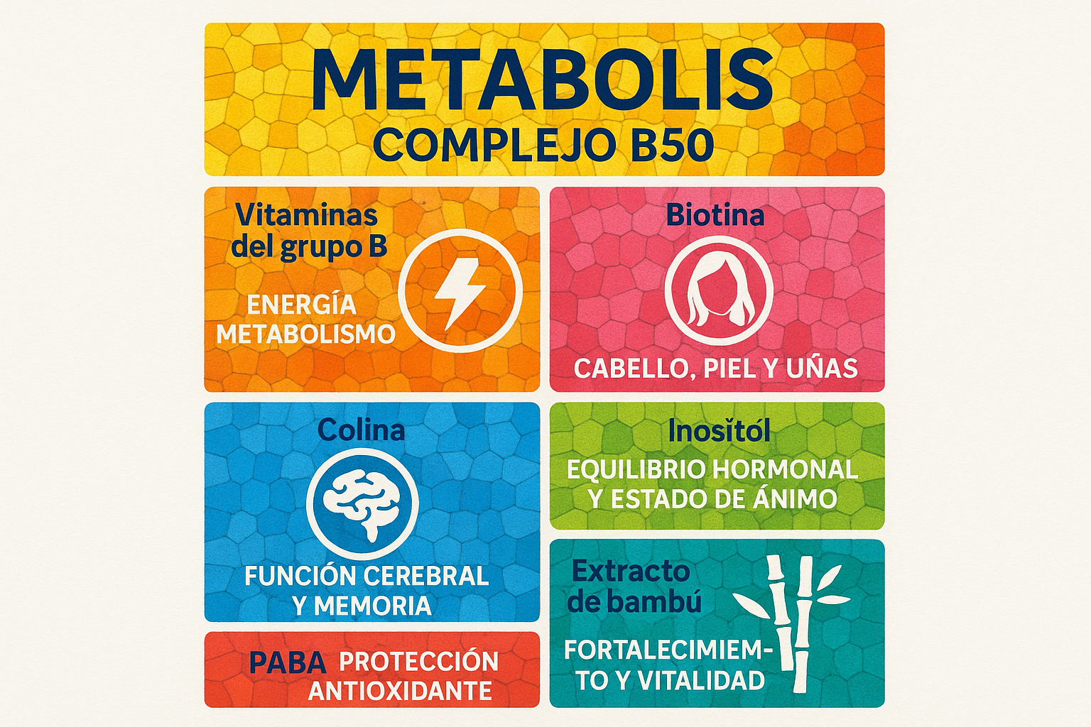 Infografía cuadrada de METABOLIS en español