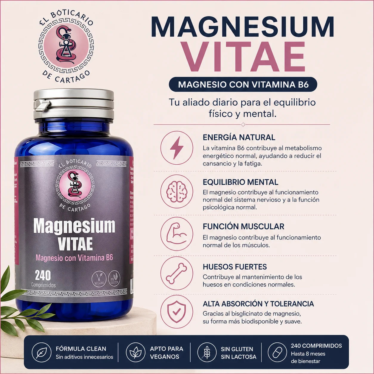 Infografía cuadrada de Magnesium Vitae con beneficios clave del magnesio y vitamina B6, incluyendo energía diaria, equilibrio mental y alta absorción.