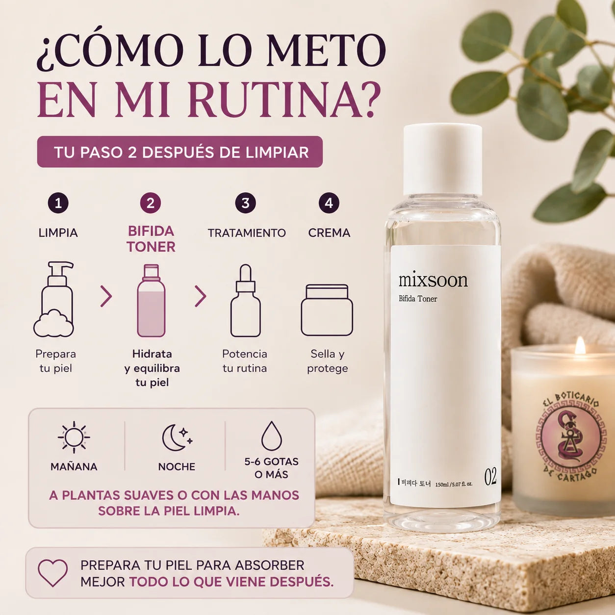 Infografía de uso del Mixsoon Bifida Toner: paso 2 de la rutina tras la limpieza, aplicar 5-6 gotas mañana y noche sobre piel limpia