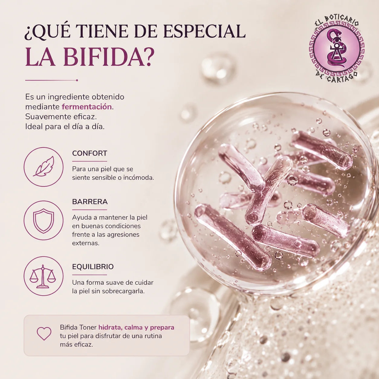 Infografía sobre la Bifida fermentada del Mixsoon Bifida Toner: confort, barrera cutánea y equilibrio para pieles sensibles