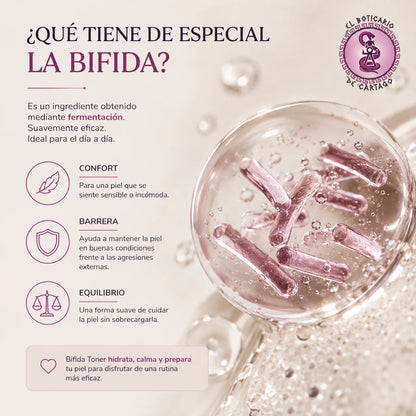 Infografía sobre la Bifida fermentada del Mixsoon Bifida Toner: confort, barrera cutánea y equilibrio para pieles sensibles