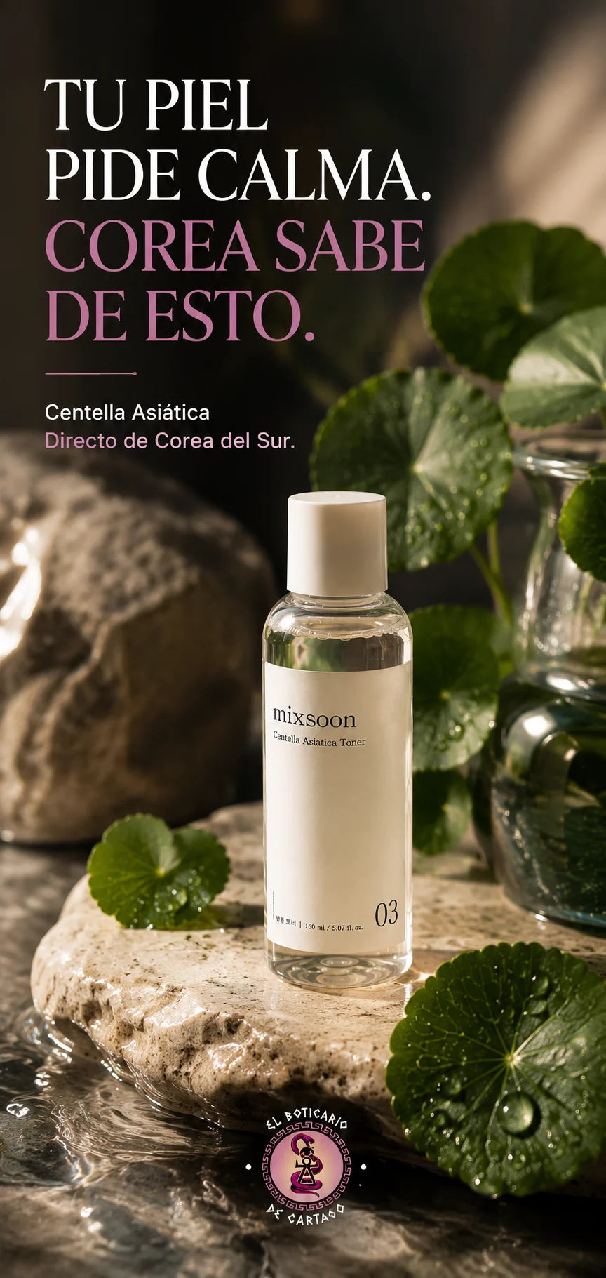Mixsoon Centella Asiatica Toner 150ml sobre piedra natural rodeado de hojas de centella asiática, banner con texto Tu piel pide calma, Corea sabe de esto, directo de Corea del Sur