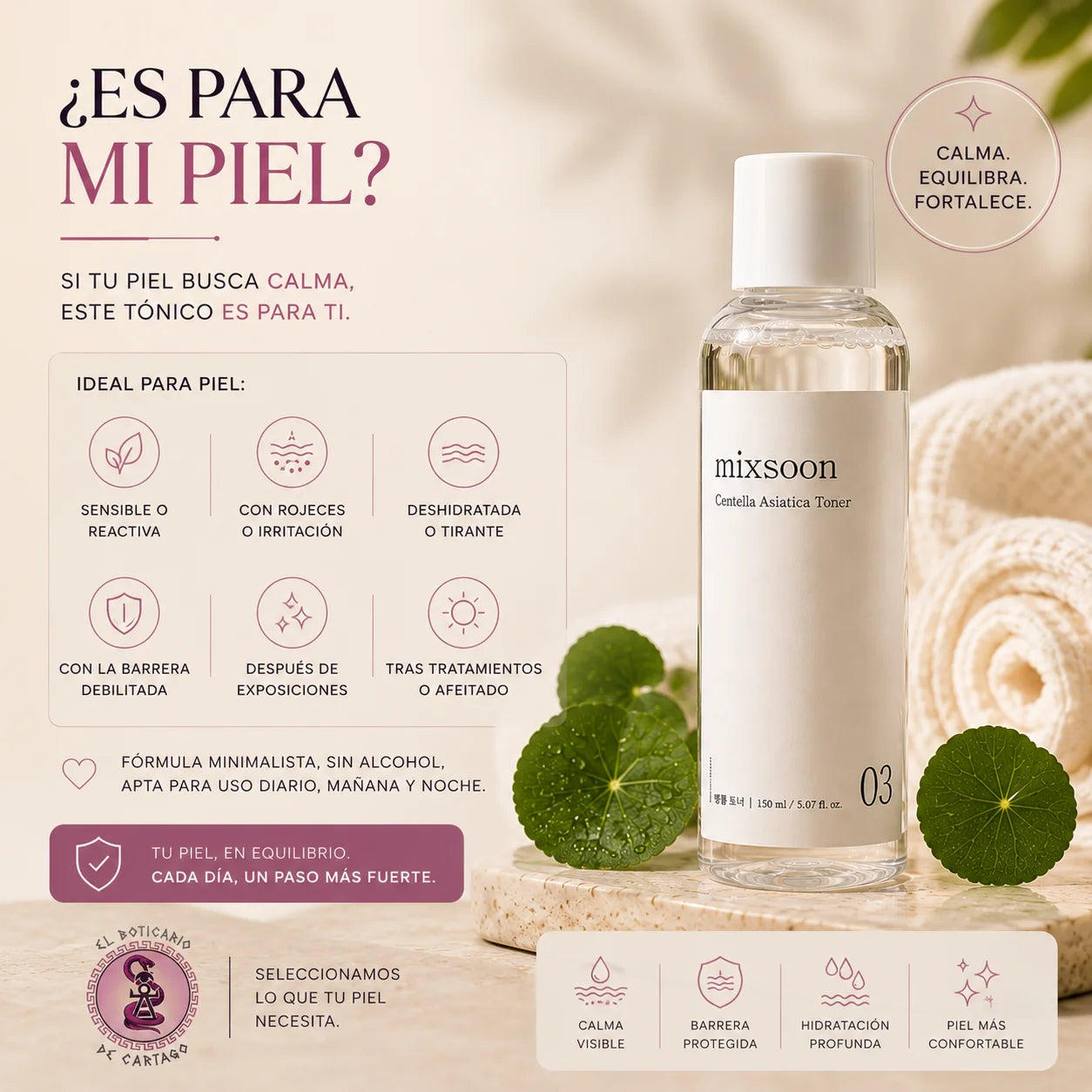 Infografía Mixsoon Centella Asiatica Toner: ideal para piel sensible, reactiva, con rojeces, deshidratada o barrera debilitada, fórmula sin alcohol apta para uso diario