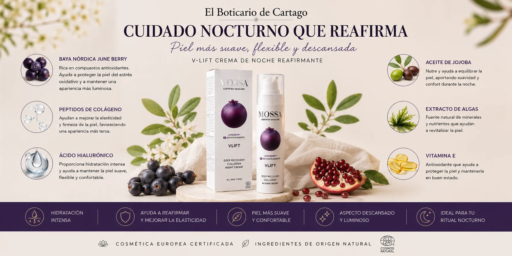 Infografía de la crema de noche reafirmante Mossa V-Lift con baya nórdica Juneberry, ácido hialurónico, péptidos de colágeno e ingredientes naturales para el cuidado facial nocturno.
